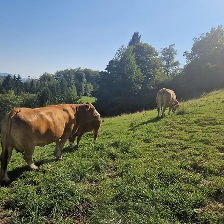 Farm Solinc
